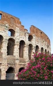 Italy. Rome. The ancient Collosseo