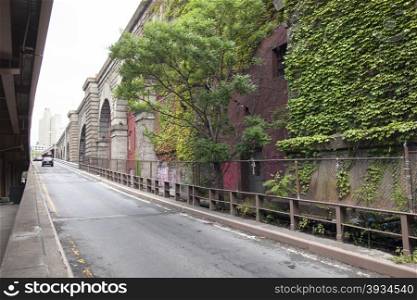 ivy and tree as city nature in lower manhattan under road towards brooklyn bridge