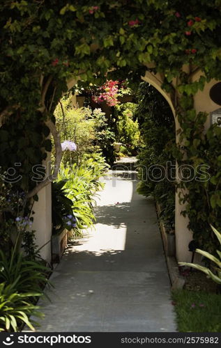 Ivy covered arched walkway, La Jolla, San Diego, California, USA
