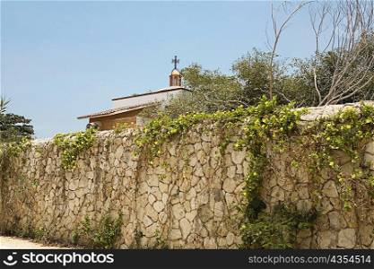 Ivy on a stone wall, Cancun, Mexico