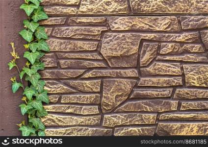 Ivy on an old brick wall background. Nature design. 