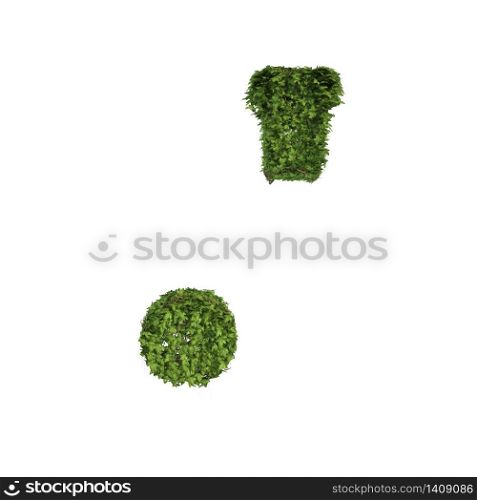 Ivy plant with leaves, green creeper bush and vines forming comma and dot sign symbol isolated on white in nature, growth and eco environment concept. 3d tree illustration.