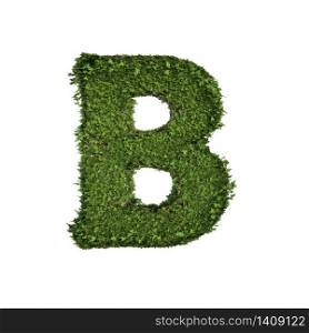 Ivy plant with leaves, green creeper bush and vines forming letter B, English alphabet text font character isolated on white in nature, growth and eco environment concept. 3d tree illustration.
