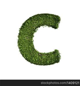 Ivy plant with leaves, green creeper bush and vines forming letter C, English alphabet text font character isolated on white in nature, growth and eco environment concept. 3d tree illustration.