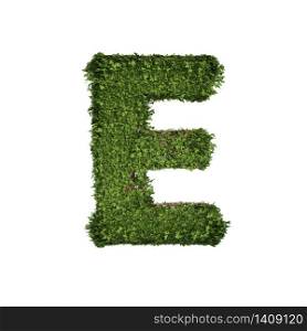 Ivy plant with leaves, green creeper bush and vines forming letter E, English alphabet text font character isolated on white in nature, growth and eco environment concept. 3d tree illustration.