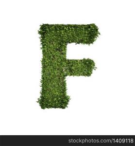 Ivy plant with leaves, green creeper bush and vines forming letter F, English alphabet text font character isolated on white in nature, growth and eco environment concept. 3d tree illustration.