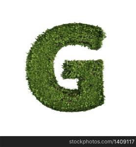 Ivy plant with leaves, green creeper bush and vines forming letter G, English alphabet text font character isolated on white in nature, growth and eco environment concept. 3d tree illustration.