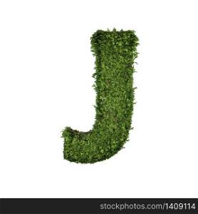 Ivy plant with leaves, green creeper bush and vines forming letter J, English alphabet text font character isolated on white in nature, growth and eco environment concept. 3d tree illustration.