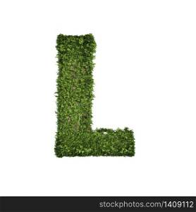 Ivy plant with leaves, green creeper bush and vines forming letter L, English alphabet text font character isolated on white in nature, growth and eco environment concept. 3d tree illustration.