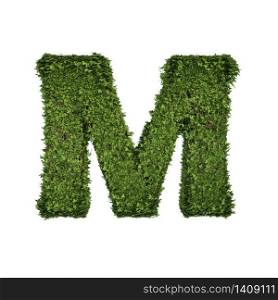 Ivy plant with leaves, green creeper bush and vines forming letter M, English alphabet text font character isolated on white in nature, growth and eco environment concept. 3d tree illustration.