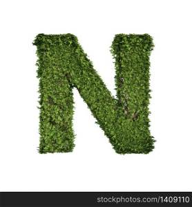 Ivy plant with leaves, green creeper bush and vines forming letter N, English alphabet text font character isolated on white in nature, growth and eco environment concept. 3d tree illustration.