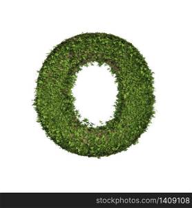 Ivy plant with leaves, green creeper bush and vines forming letter O, English alphabet text font character isolated on white in nature, growth and eco environment concept. 3d tree illustration.