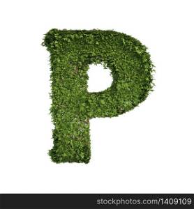 Ivy plant with leaves, green creeper bush and vines forming letter P, English alphabet text font character isolated on white in nature, growth and eco environment concept. 3d tree illustration.