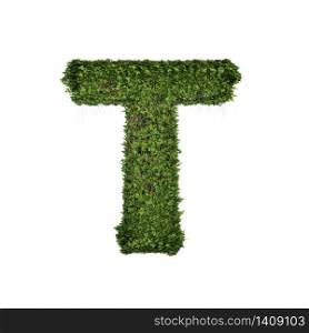 Ivy plant with leaves, green creeper bush and vines forming letter T, English alphabet text font character isolated on white in nature, growth and eco environment concept. 3d tree illustration.
