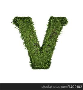 Ivy plant with leaves, green creeper bush and vines forming letter V, English alphabet text font character isolated on white in nature, growth and eco environment concept. 3d tree illustration.