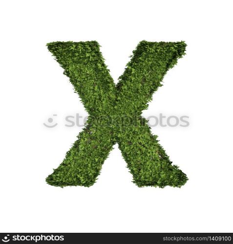 Ivy plant with leaves, green creeper bush and vines forming letter X, English alphabet text font character isolated on white in nature, growth and eco environment concept. 3d tree illustration.