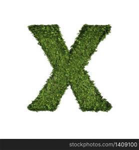 Ivy plant with leaves, green creeper bush and vines forming letter X, English alphabet text font character isolated on white in nature, growth and eco environment concept. 3d tree illustration.