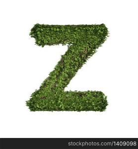 Ivy plant with leaves, green creeper bush and vines forming letter Z, English alphabet text font character isolated on white in nature, growth and eco environment concept. 3d tree illustration.