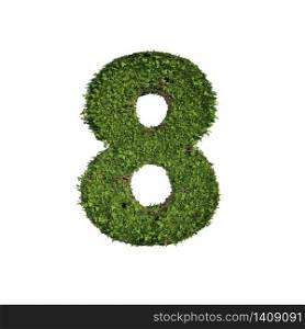 Ivy plant with leaves, green creeper bush and vines forming number eight, 8, alphabet text font character isolated on white in nature, growth and eco environment concept. 3d tree illustration.