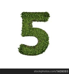 Ivy plant with leaves, green creeper bush and vines forming number five, 5, alphabet text font character isolated on white in nature, growth and eco environment concept. 3d tree illustration.