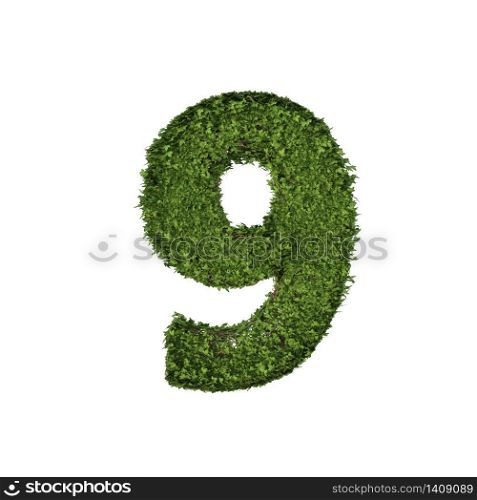 Ivy plant with leaves, green creeper bush and vines forming number nine, 9, alphabet text font character isolated on white in nature, growth and eco environment concept. 3d tree illustration.