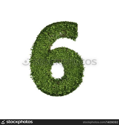 Ivy plant with leaves, green creeper bush and vines forming number six, 6, alphabet text font character isolated on white in nature, growth and eco environment concept. 3d tree illustration.