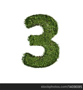 Ivy plant with leaves, green creeper bush and vines forming number three, 3, alphabet text font character isolated on white in nature, growth and eco environment concept. 3d tree illustration.