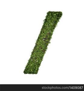 Ivy plant with leaves, green creeper bush and vines forming the slash sign symbol isolated on white in nature, growth and eco environment concept. 3d tree illustration.