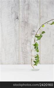 ivy transparent vase white desk against wooden wall