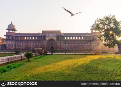Jahangir Palace in India, Agra Fort, sunny morning.. Jahangir Palace in India, Agra Fort, sunny morning