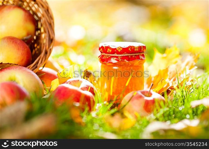 Jam in jar and red apples on a grass. Autumn harvest concept