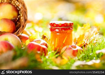 Jam in jar and red apples on a grass. Autumn harvest concept