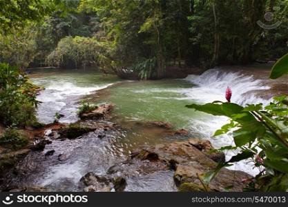 Jamaica. Dunn&rsquo;s River waterfalls