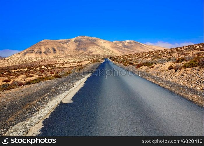 Jandia park road Fuerteventura at Canary Islands of Spain
