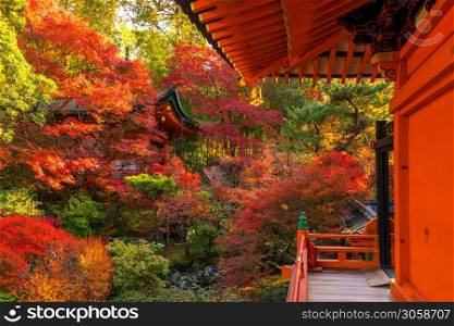 Japan autumn image. Bishamon-do temple in Kyoto city, Japan