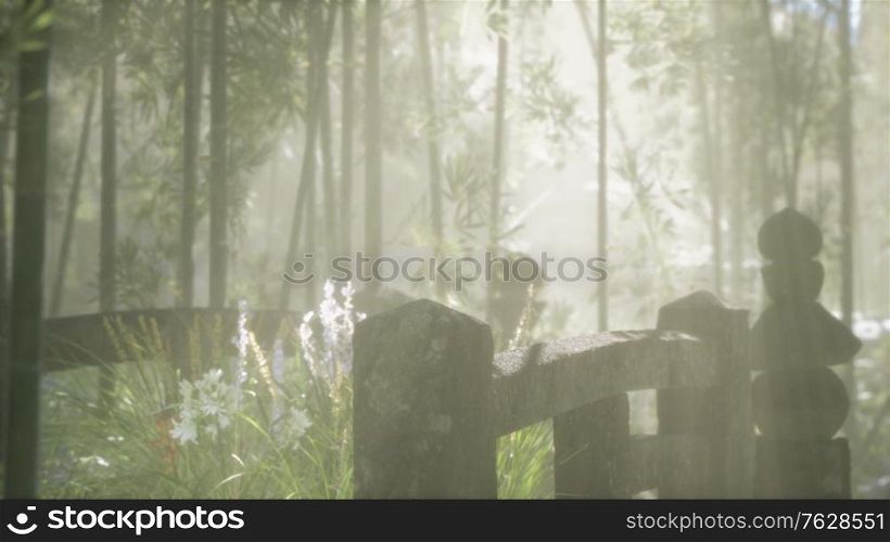 Japan bamboo forest and green meadow grass with natural light