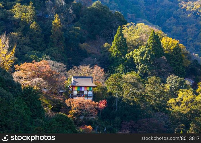 Japan, Kyoto, Arashiyama, colored leaves