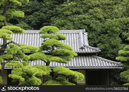 Japan, Tokyo, Tokyo Imperial Palace, Rooftop of Otemon (East Gate) seen through trees