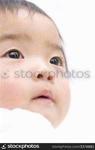 Japanese Baby