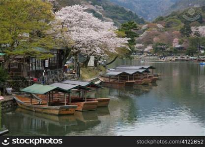 Japanese boats on river