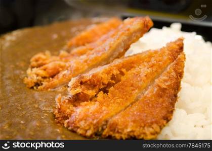 Japanese breaded deep fried pork cutlet (tonkatsu) served with steamed rice and curry sauce