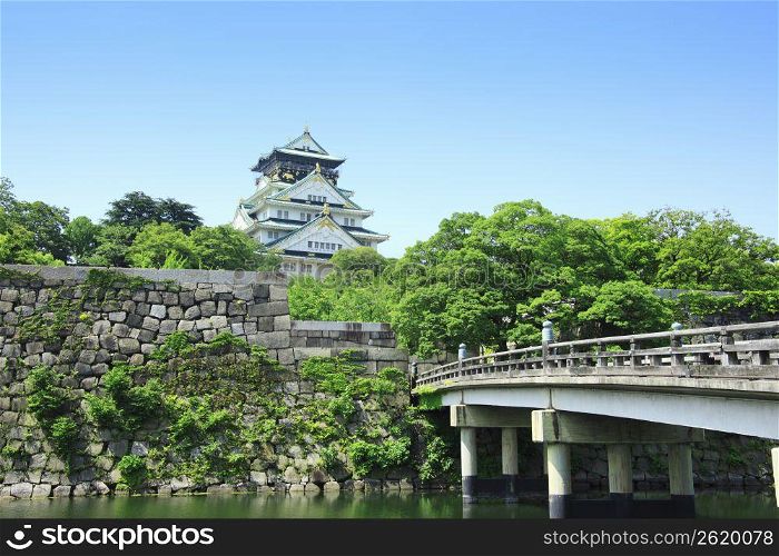 Japanese castle and bridge