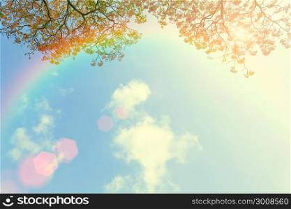 Japanese cherry flower and rainbow in blue sky with cloud. Beautiful nature background.