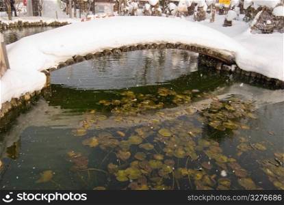 Japanese courtyard with pond and bridge under snow. Waterlily are still green in the pond.