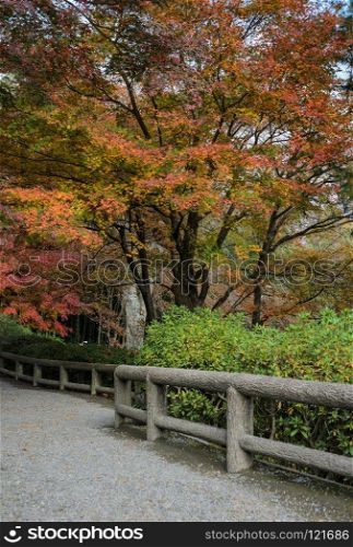 Japanese garden in Tenryuji temple during autumn season in Arashiyama, Kyoto, Japan