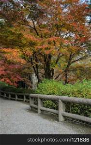 Japanese garden in Tenryuji temple during autumn season in Arashiyama, Kyoto, Japan