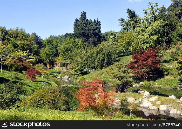 Japanese Garden Park Anduze bamboo where almost all species are represented and promoted in an Asian garden