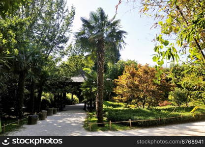 Japanese Garden Park Anduze bamboo where almost all species are represented and promoted in an Asian garden