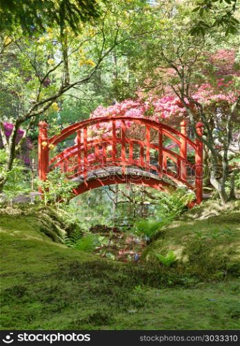 japanese garden with red bridge in the hague Holland in the open for public park called landgoed clingendael. red bridge in japanese garden