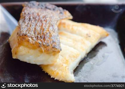 Japanese grilled cod fish , gindara on dish